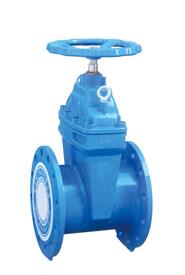 RVX-12/09暗杆彈性(xing)座封閘閥